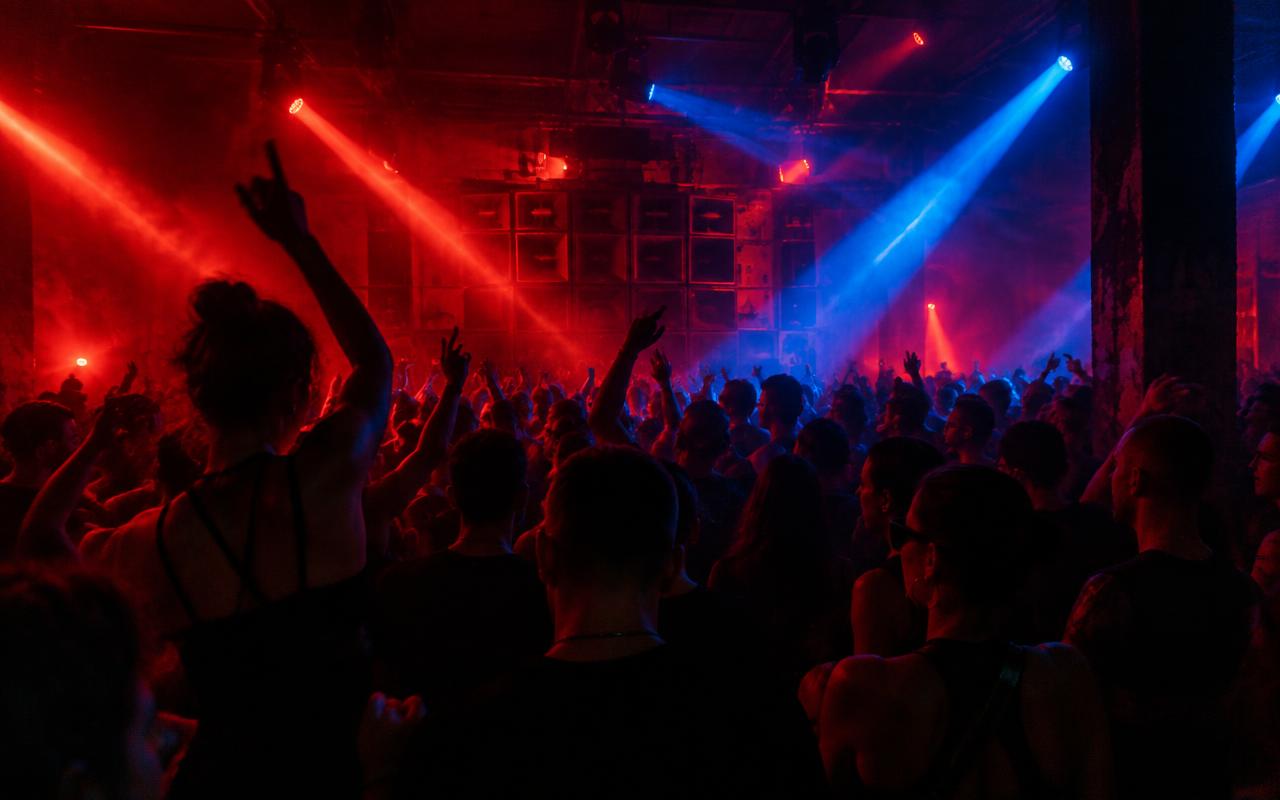 Front page photograph for: AMF 2026 Timetable Revealed Featuring David Guetta, Armin van Buuren, and Afrojack